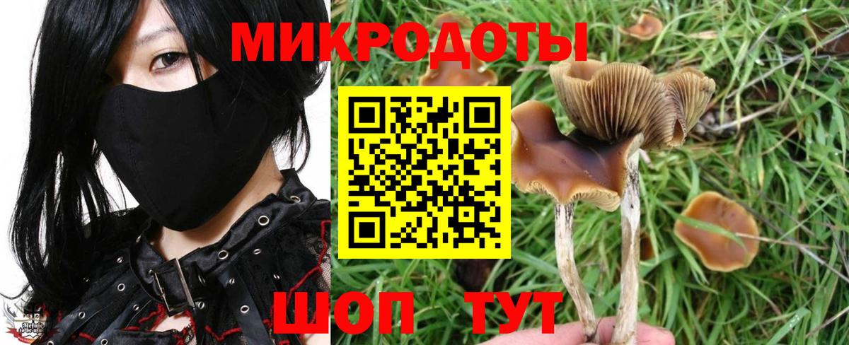 Галлюциногенные грибы GOLDEN TEACHER Сургут